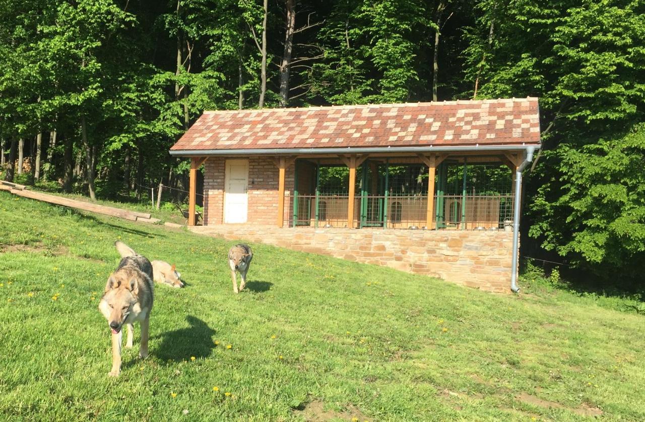 Chata Koniaren Vila Pavlovce Exterior foto